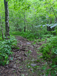 Inman Hill scenery in summer 2020.